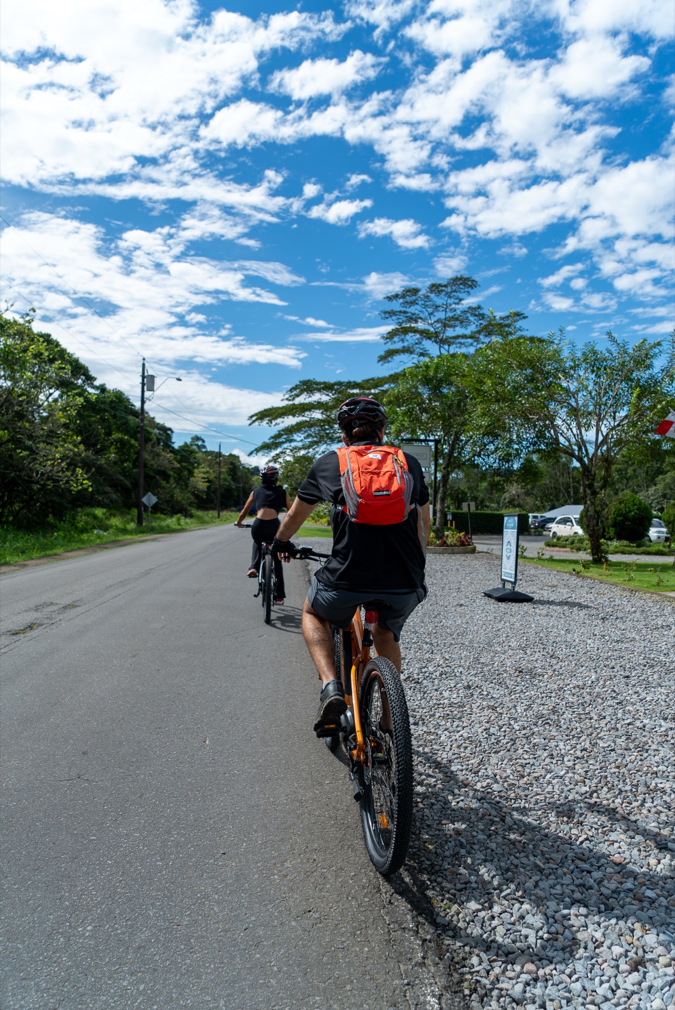 Scenic Loop Tour
