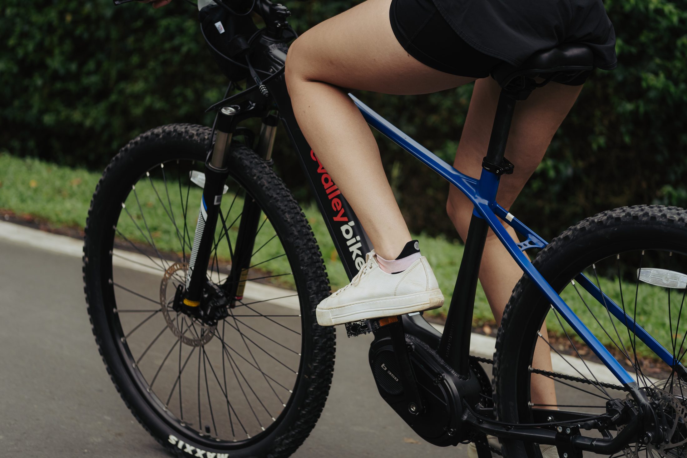 E-bike detail